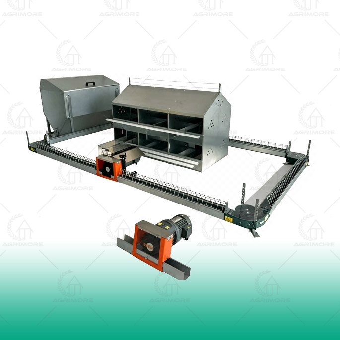 Chicken Farming Chain Feeding Line